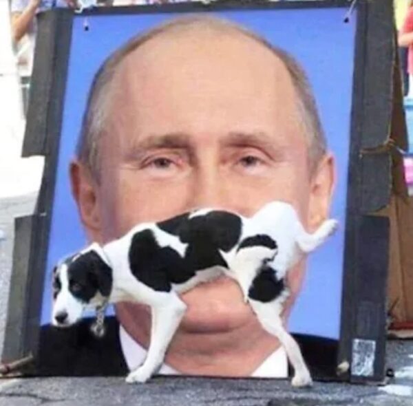 Hans Geleijnse, Poetin hondje