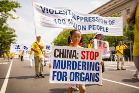 André van Leijen, Wie weet waar Wei Wei woont, Demonstratie Falun Gong