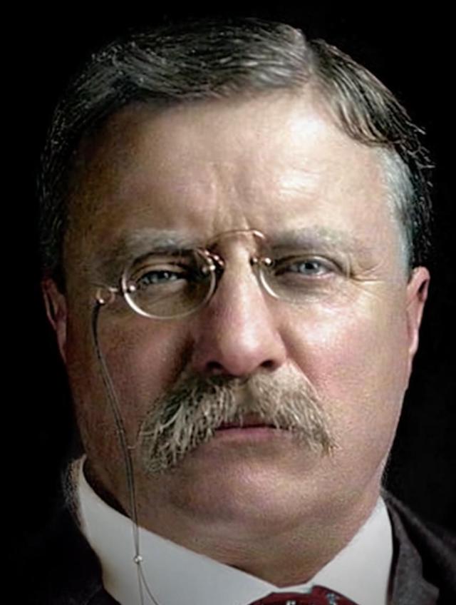 Peter van Nuijsenburg, Theodore Roosevelt